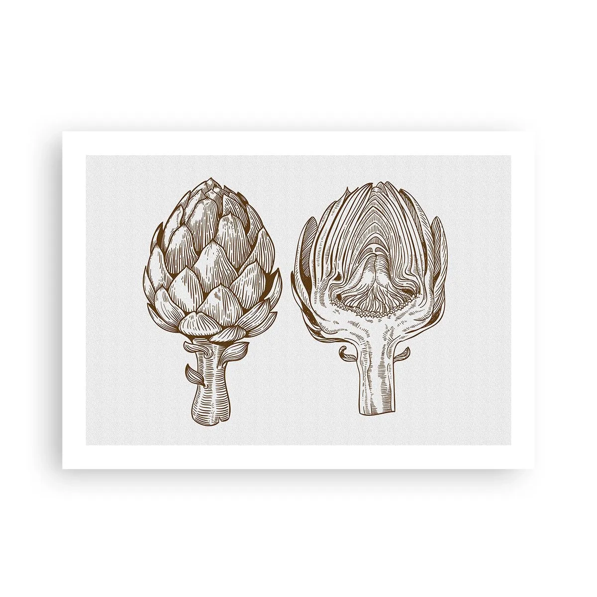 Plakát - Hodiny anatomie - 70x50 cm