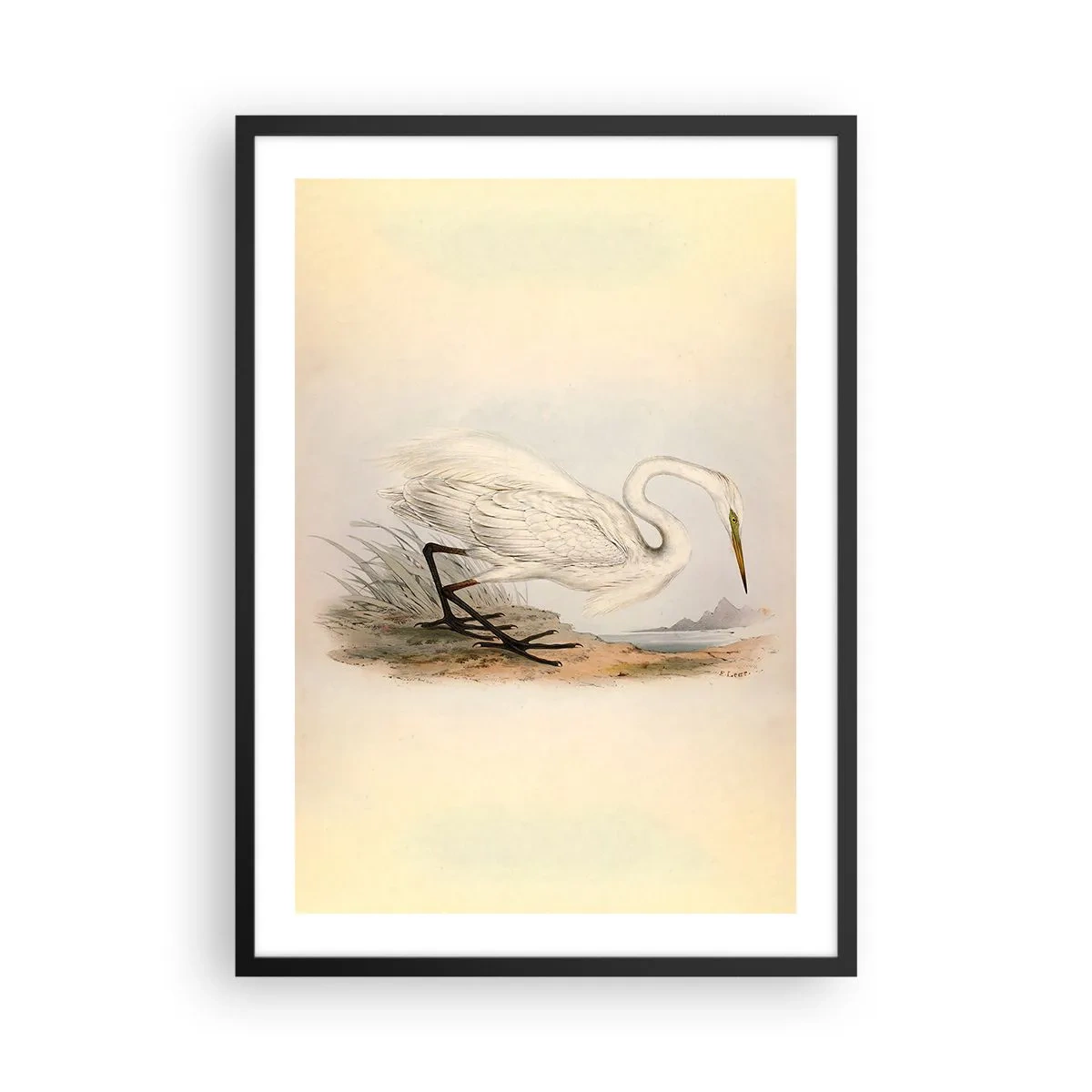 Plakát v černém rámu - Ilustrace volavky na pastelovém pozadí krajiny - 50x70cm - Paní rákosin - Moderní nástěnná dekorace do obývacího pokoje a ložnice ARTTOR