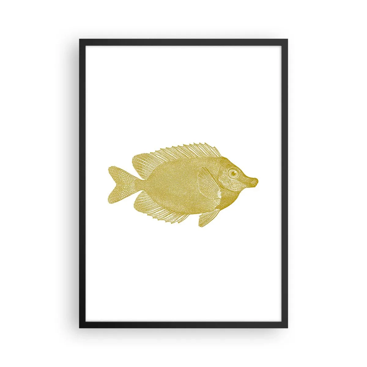 Plakát v černém rámu - Vintage zlaté rybky na bílém pozadí - 50x70cm - Prostě ryba - Moderní nástěnná dekorace do obývacího pokoje a ložnice ARTTOR