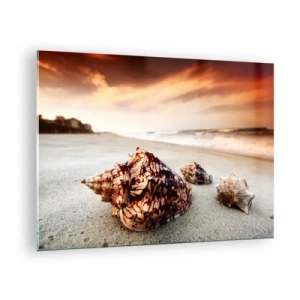 Obraz na skle - Mušle na pláži při západu slunce - 70x50cm - Vyvrženci vln - Moderní nástěnná dekorace do obývacího pokoje a ložnice ARTTOR