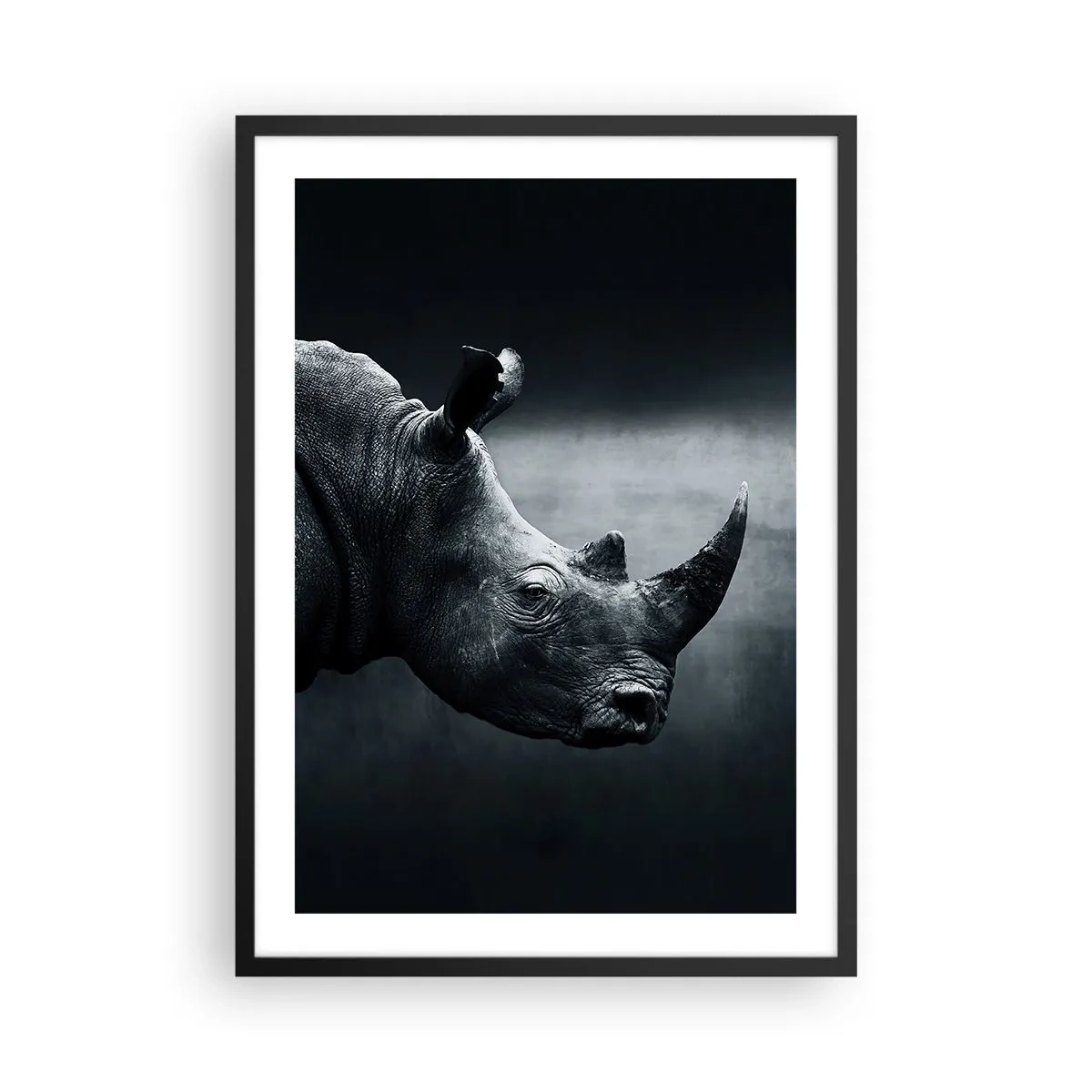 Plakát v černém rámu - Černobílý portrét nosorožce na tmavém pozadí - 50x70cm - Pravý profil - Moderní nástěnná dekorace do obývacího pokoje a ložnice ARTTOR