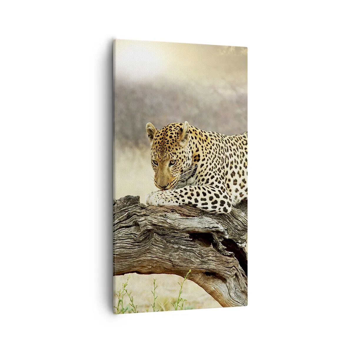 Obraz na plátně - Chodím vlastními cestami - 55x100 cm