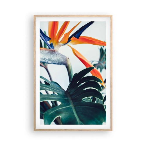 Plakát v rámu světlý dub - Ptákeř - 61x91 cm