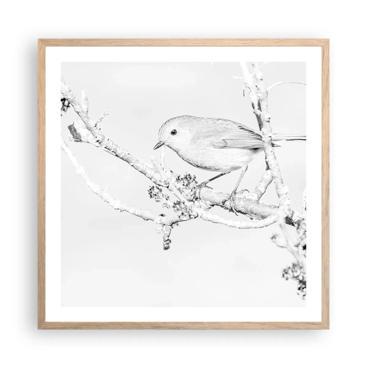 Plakát v rámu světlý dub - Zimní ráno - 60x60 cm