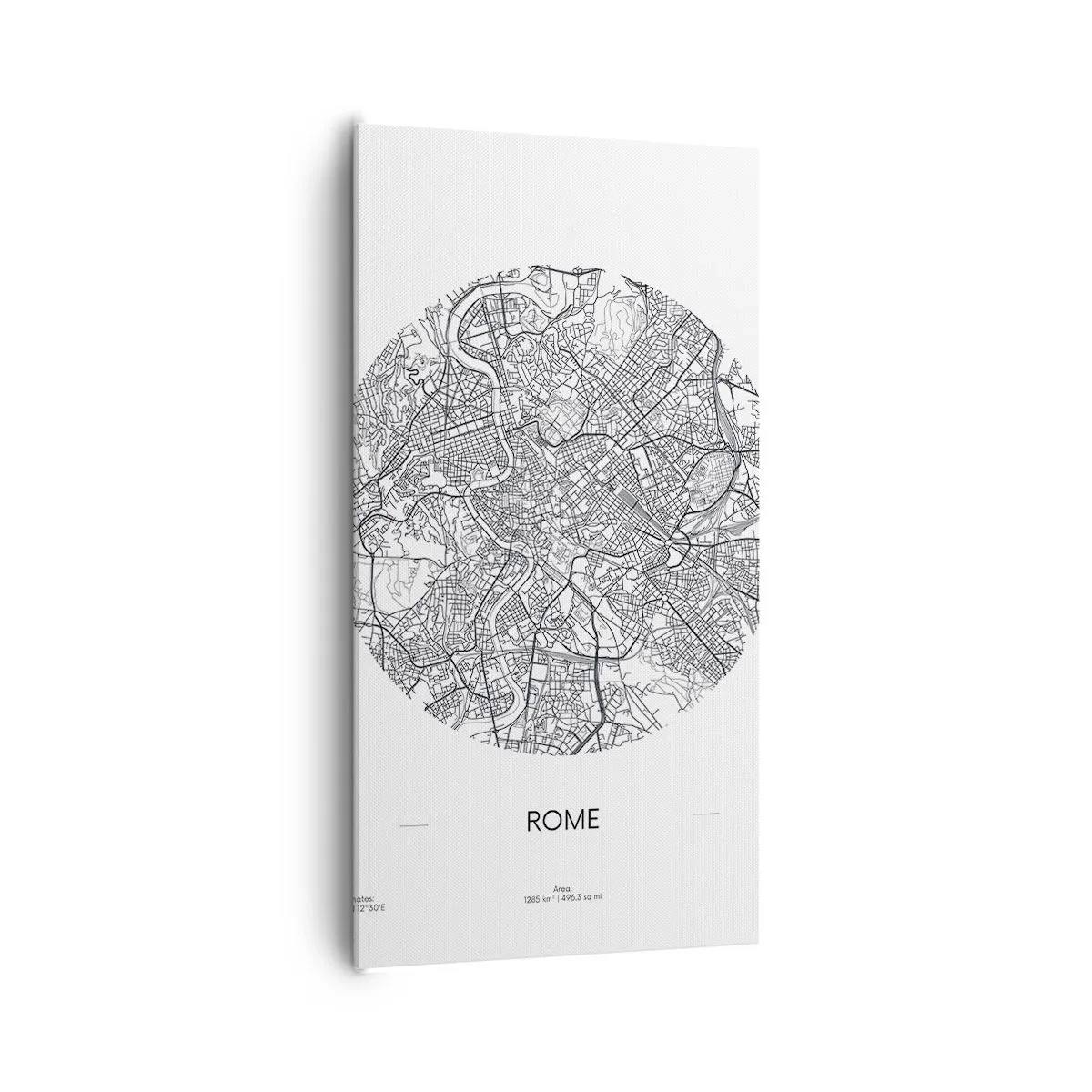 Obraz na plátně - Anatomie Říma - 65x120 cm