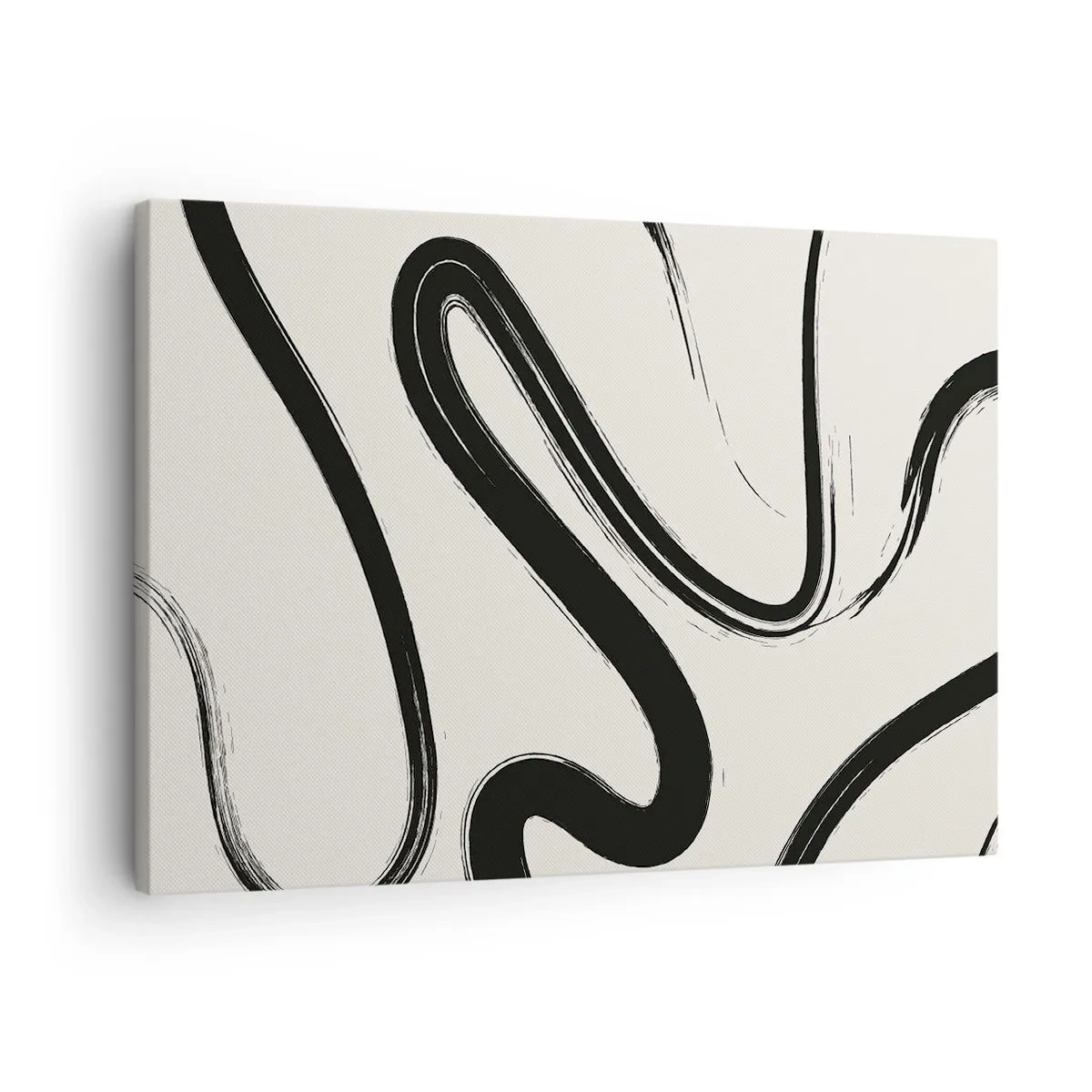 Obraz na plátně - Černobílé zakřivené čáry na světlém pozadí - 70x50cm - Černobílý rozmar - Moderní nástěnná dekorace do obývacího pokoje a ložnice ARTTOR