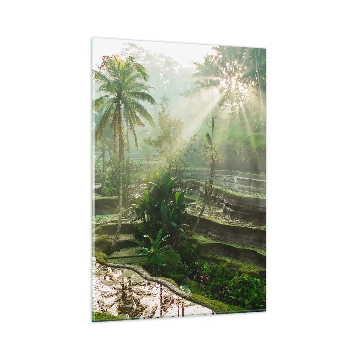 Obraz na skle - Vyrůstát na slunci - 80x120 cm