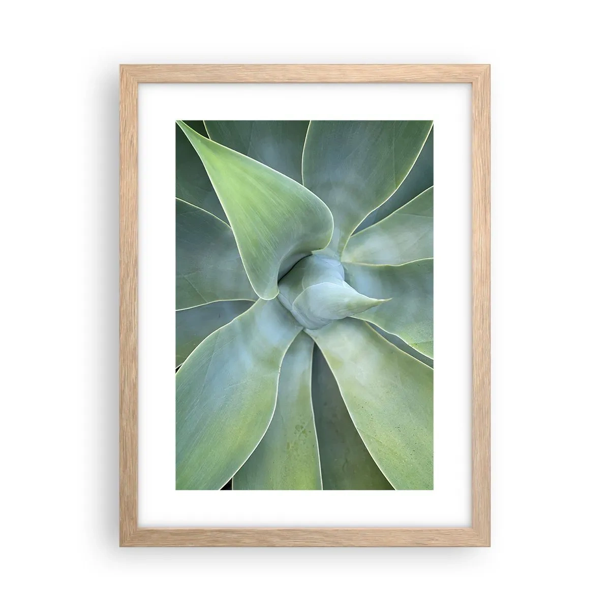 Plakát v rámu světlý dub - Zrození zeleně - 30x40 cm