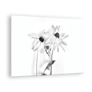Obraz na skle - Černobílé květiny v minimalistickém stylu - 70x50cm - Nikdo nechce být sám - Moderní nástěnná dekorace do obývacího pokoje a ložnice ARTTOR