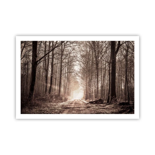 Plakát - Lesní katedrála - 91x61 cm