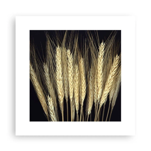 Plakát - Rustikální magie - 30x30 cm