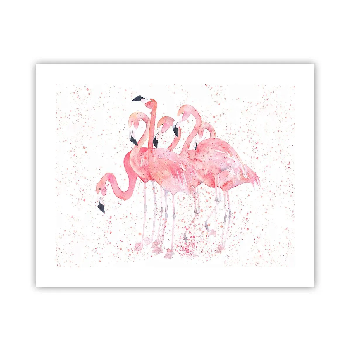 Plakát - Růžový ansámbl - 50x40 cm