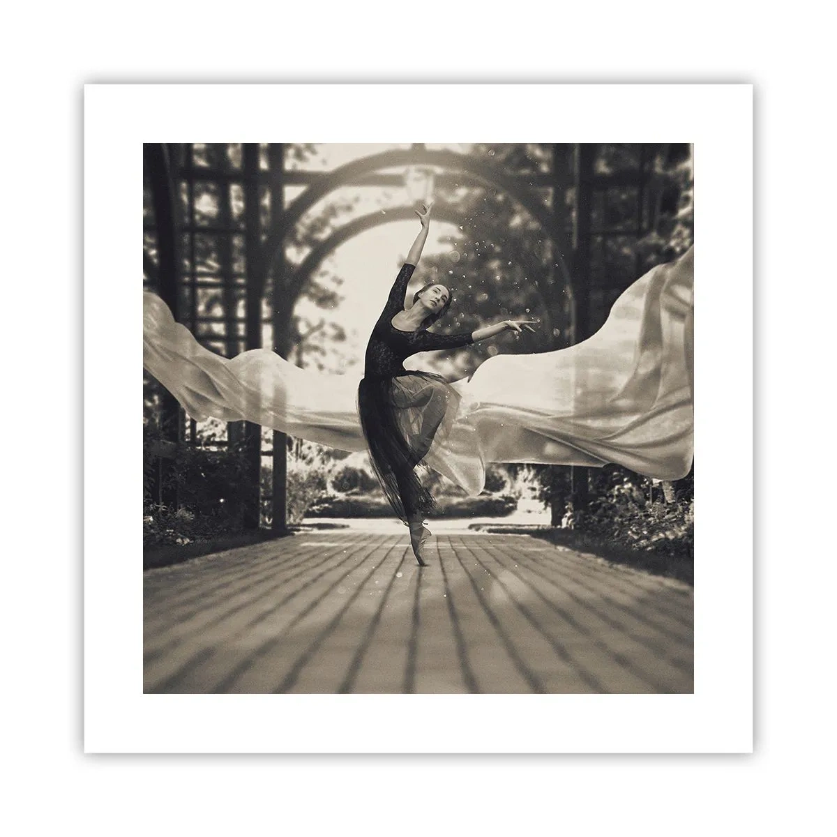 Plakát - Tanec ducha zahrady - 40x40 cm