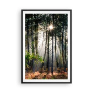 Plakát v černém rámu - Lesní divočina - 61x91 cm