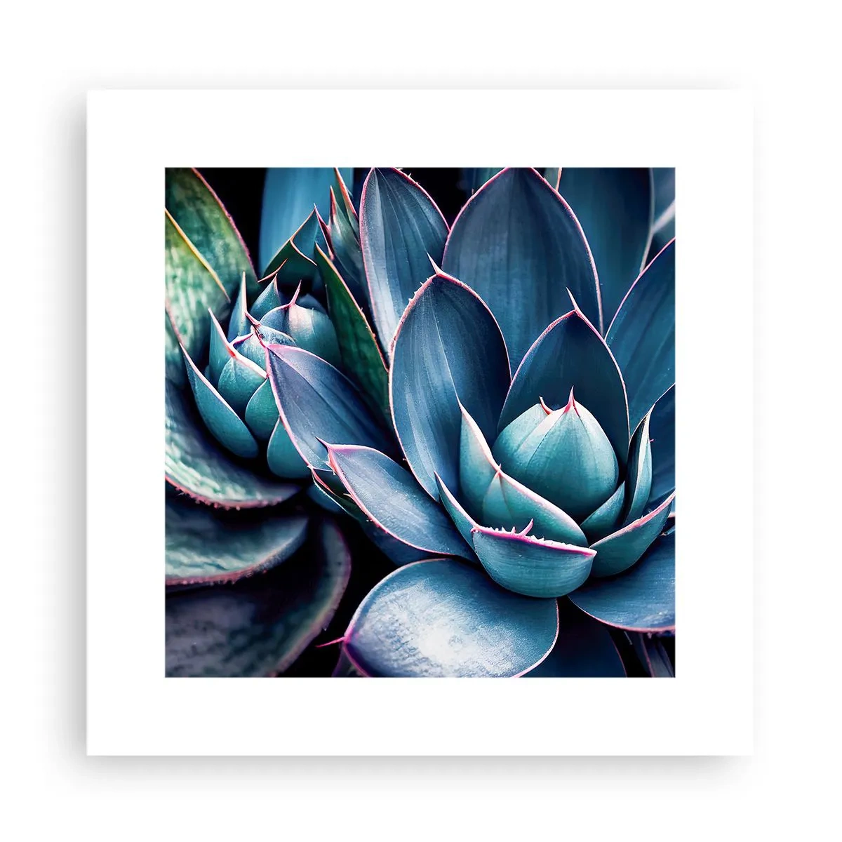 Plakát - Vitální síla - 30x30 cm