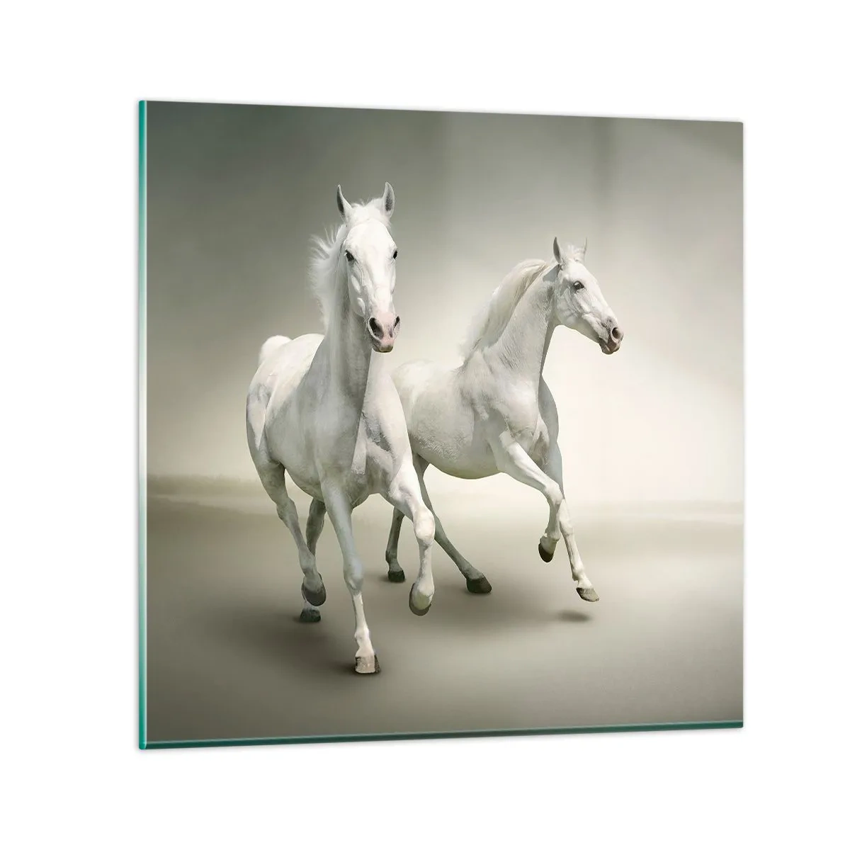 Obraz na skle - White power! - 70x70 cm