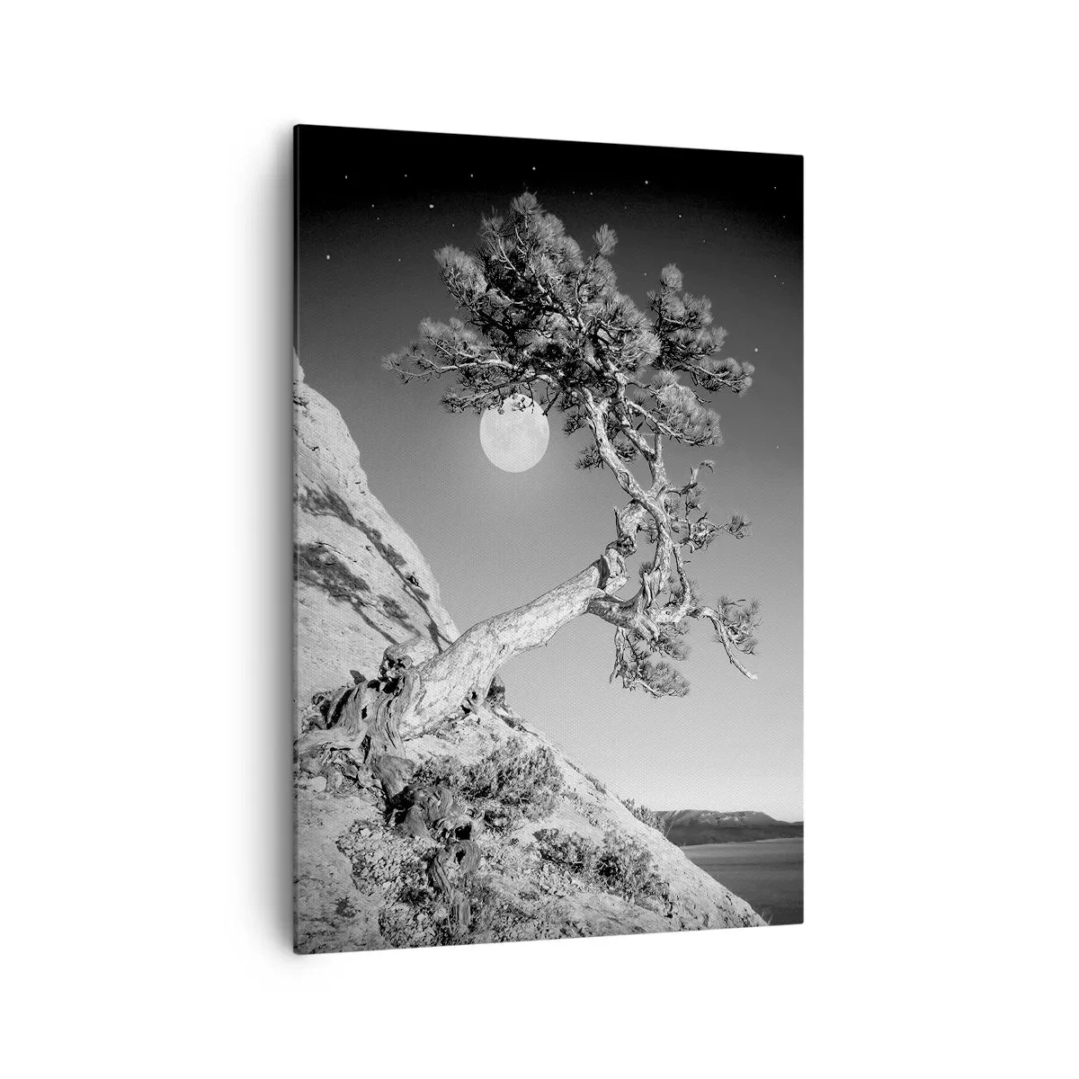 Obraz na plátně - Vítězná válečnice - 70x100 cm