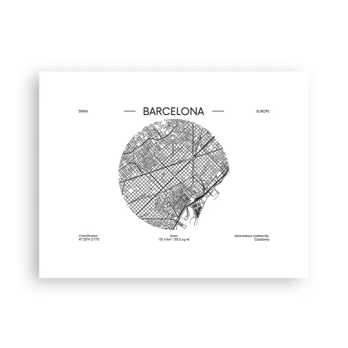 Plakát - Anatomie Barcelony - 40x30 cm