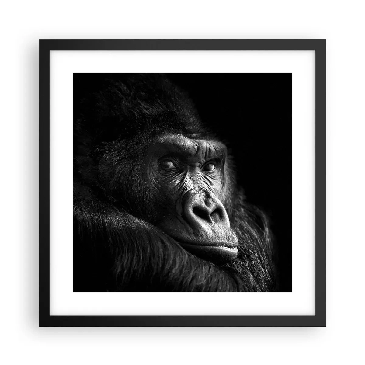 Plakát v černém rámu - Na co tak koukáš? - 40x40 cm