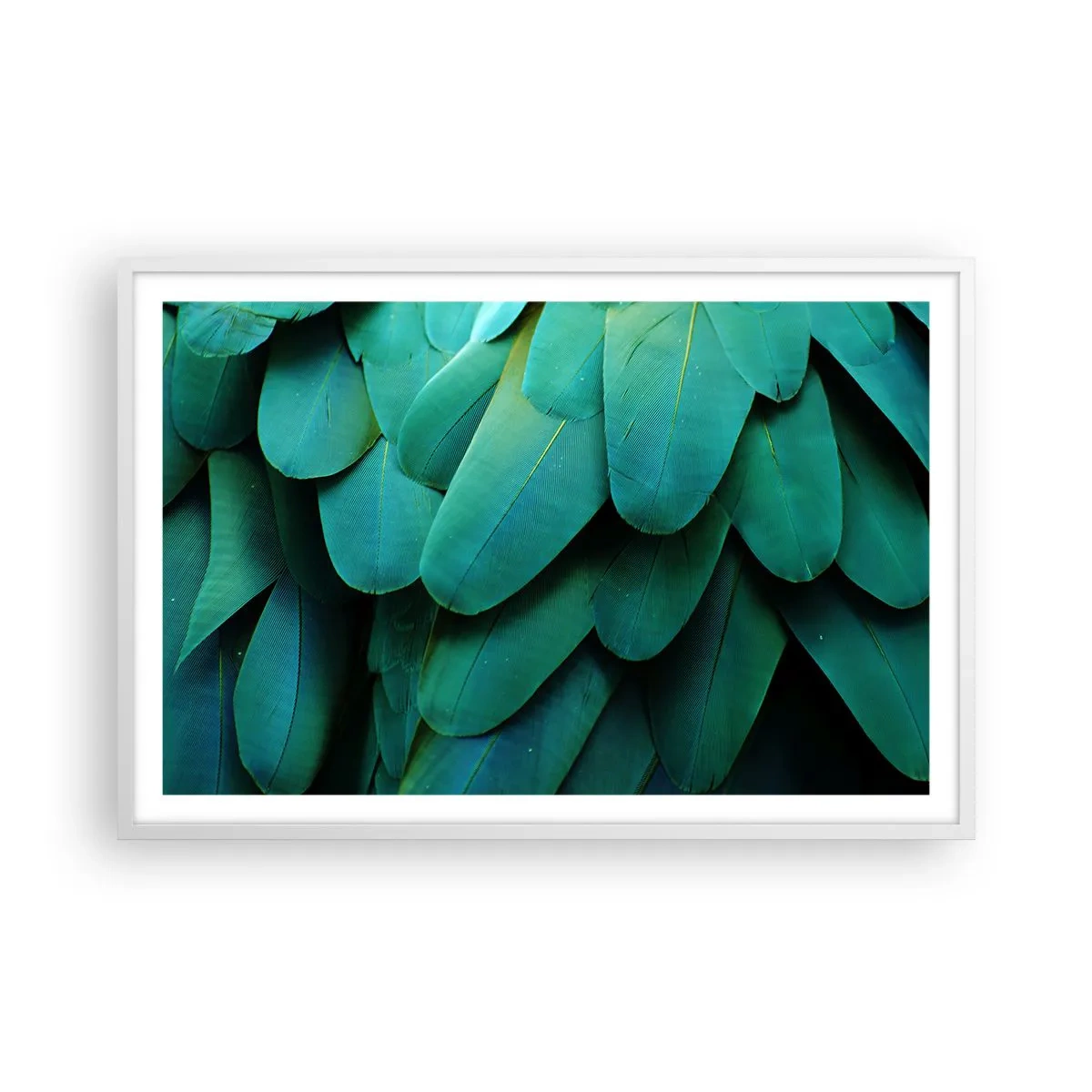 Plakát v bílém rámu - Přesnost papouščí povahy - 91x61 cm