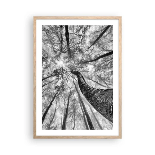 Plakát v rámu světlý dub - Závod ke světlu - 50x70 cm