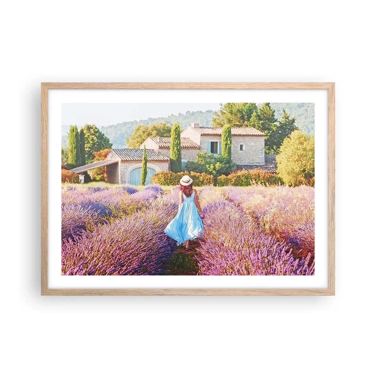 Plakát v rámu světlý dub - Levandulová dívka - 70x50 cm