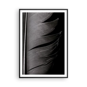 Plakát v černém rámu - Peří – nádherná konstrukce - 70x100 cm