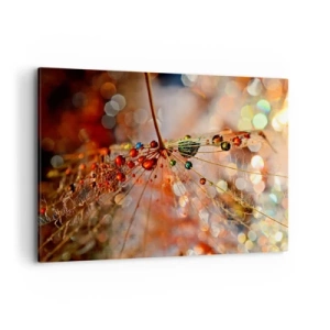 Obraz na plátně - Navlečeno na pavučinu - 100x70 cm