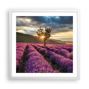Plakát v bílém rámu - Aroma v barvě lila - 50x50 cm