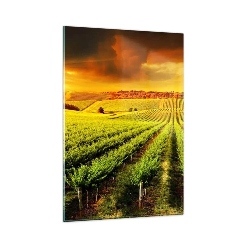 Obraz na skle - Pod australským sluncem - 80x120 cm