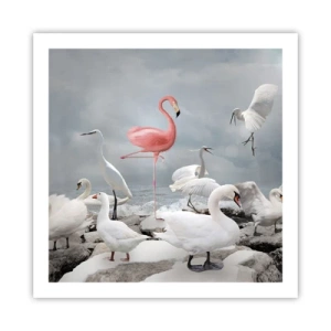 Plakát - Kde jsem se tu vzal? - 60x60 cm