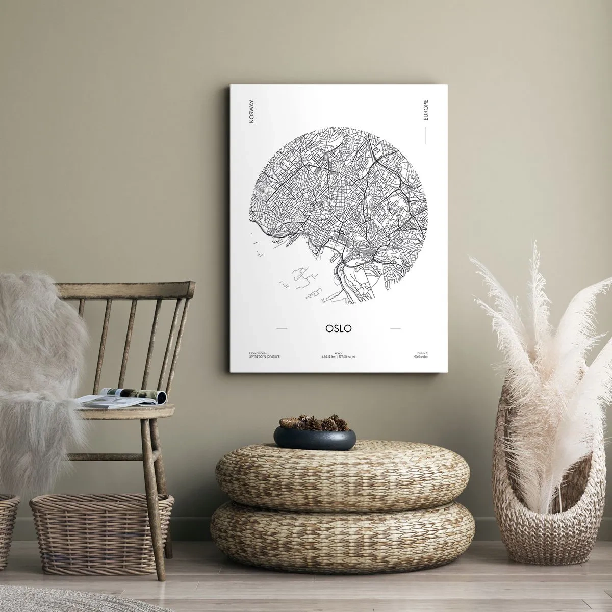 Obraz na plátně - Anatomie Osla - 70x100 cm