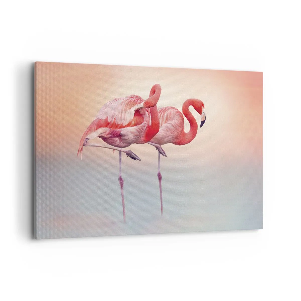 Obraz na plátně - V barvě zapadajícího slunce - 120x80 cm