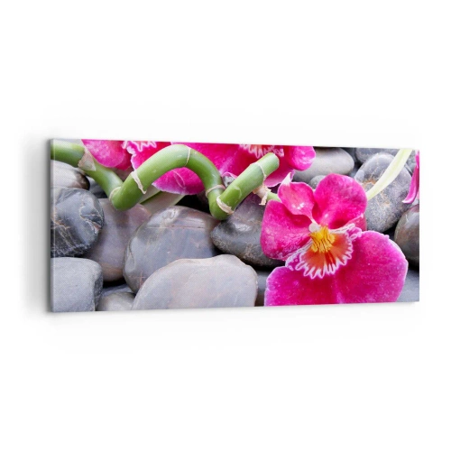 Obraz na plátně - Chlad a žár - 100x40 cm