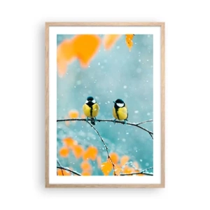 Plakát v rámu světlý dub - Ptačí drby - 50x70 cm