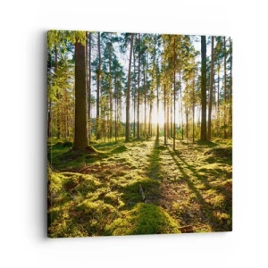 Obraz na plátně - …Za sedmero lesy - 30x30 cm