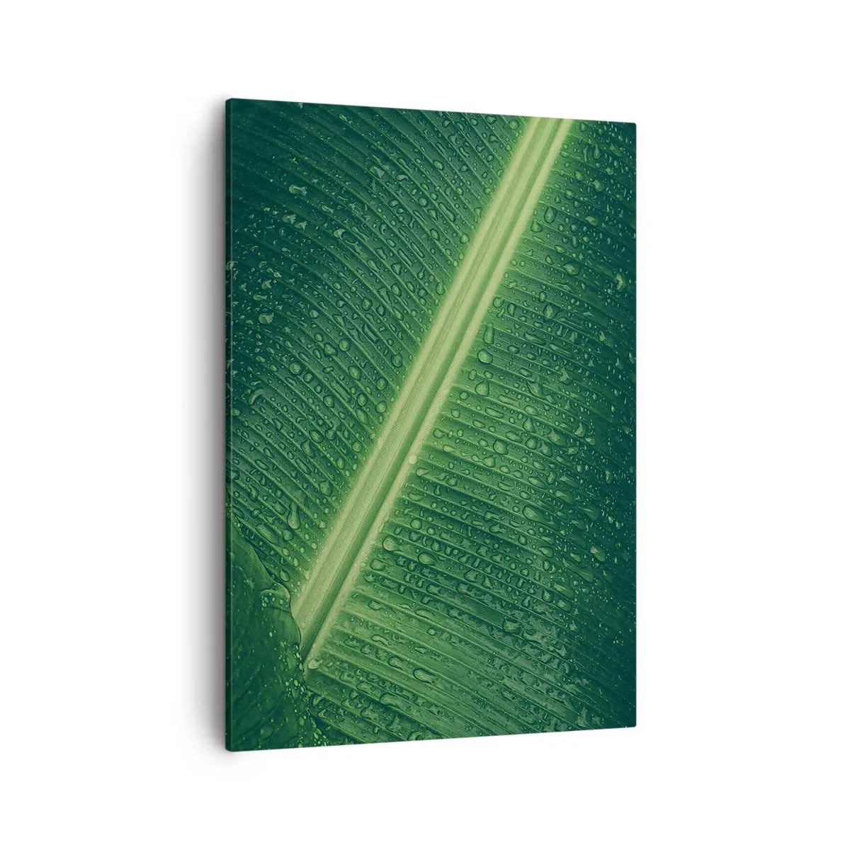 Obraz na plátně - Struktura zelené - 50x70 cm