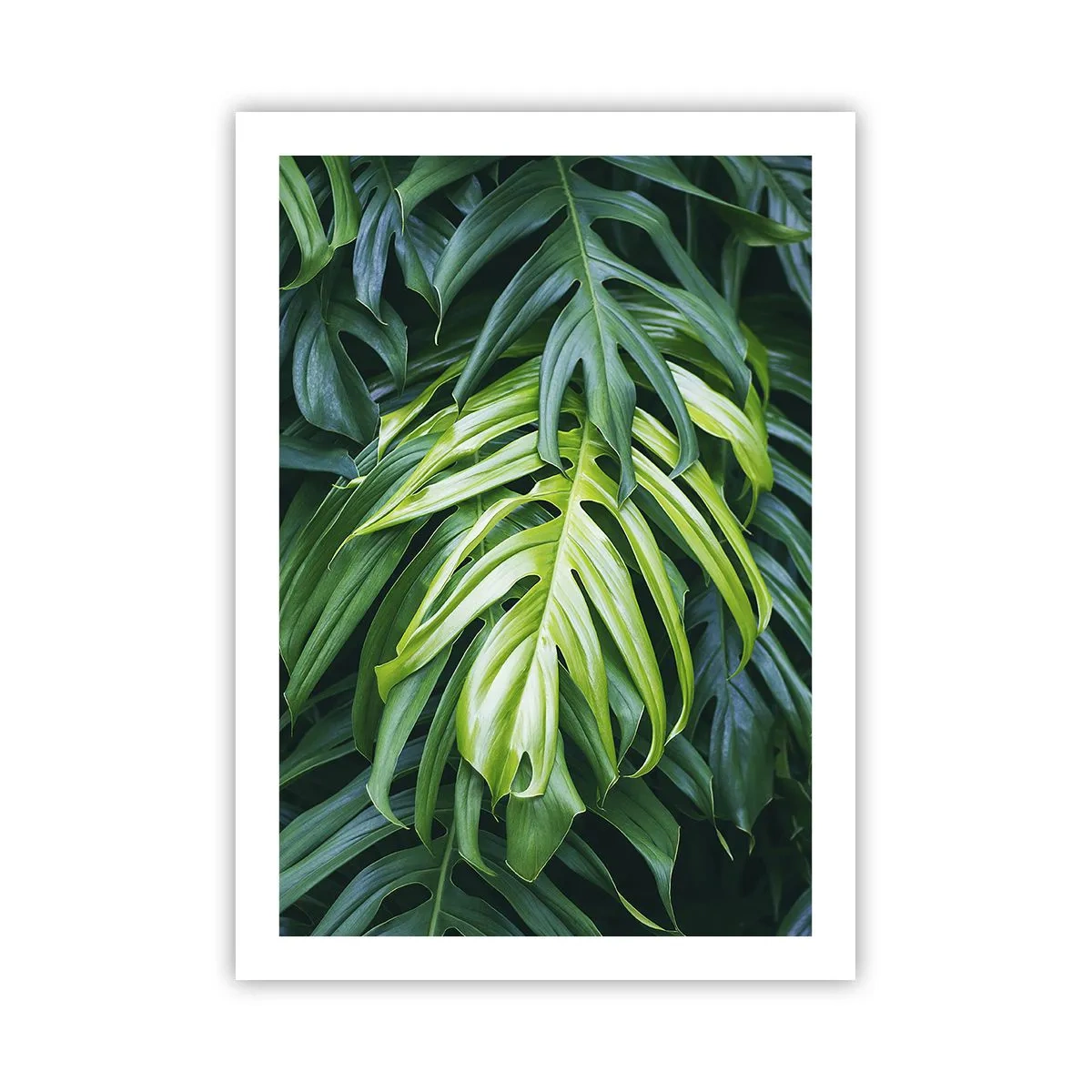 Plakát - Ponořit se do svěžesti - 50x70 cm