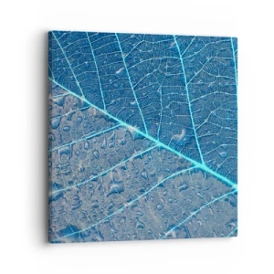Obraz na plátně - Život v modři - 30x30 cm