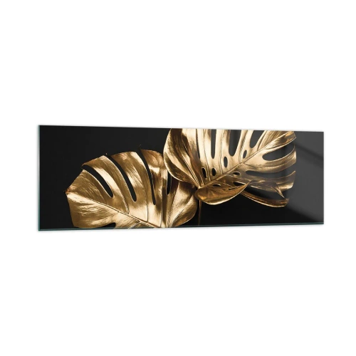 Obraz na skle - Poklady přírody - 160x50 cm