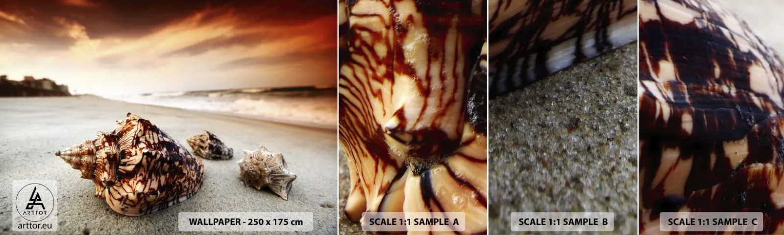 Fototapeta Vzorek Standard Eco - Vyvrženci vln - Krajina, Moře, Mušle - 100x30 cm