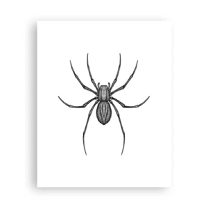 Plakát - Znepokojivá přesnost - 40x50 cm