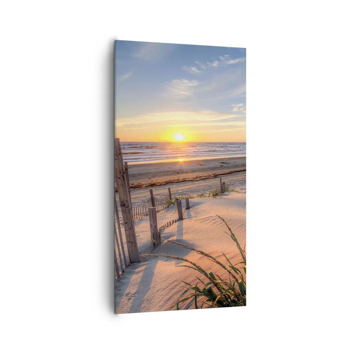 Obraz na plátně - Odlesk a stín větru - 65x120 cm