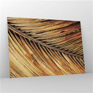 Obraz na skle - Kokosové zlato - 100x70 cm
