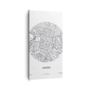 Obraz na plátně - Anatomie Madridu - 65x120 cm