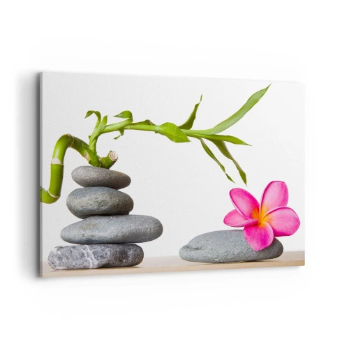 Obraz na plátně - Barvy života a trvání - 120x80 cm