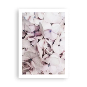 Plakát - V záplavě květin - 50x70 cm