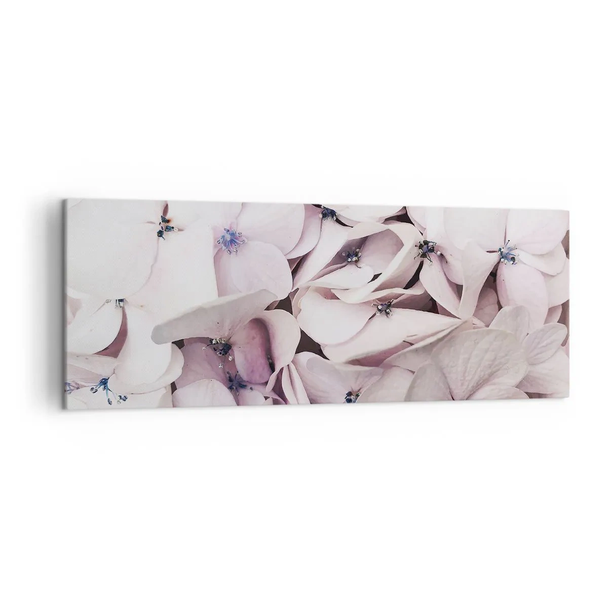 Obraz na plátně - V záplavě květin - 140x50 cm
