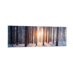 Obraz na skle - Jasně černé na bílém - 160x50 cm