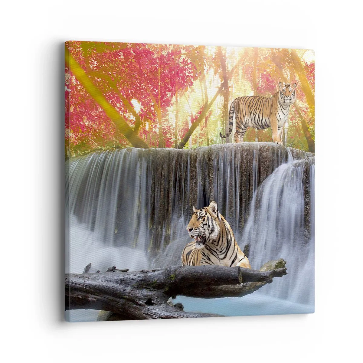 Obraz na plátně - Surrealistická krajina    - 40x40 cm